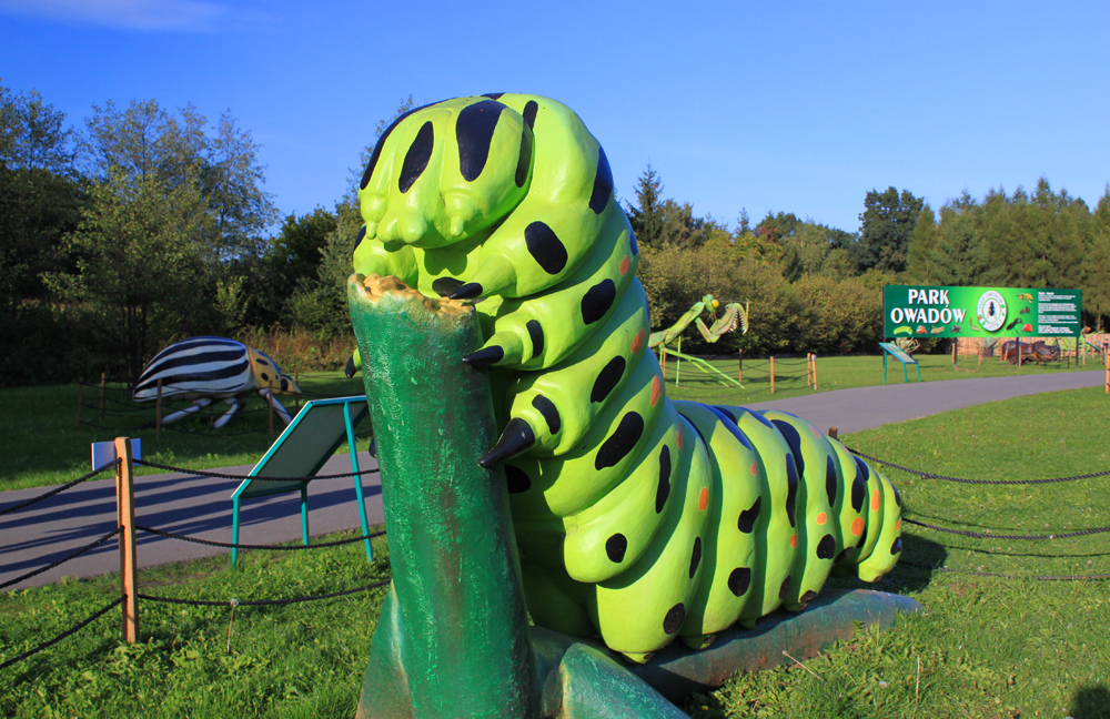 Park Owadów w Zatorze